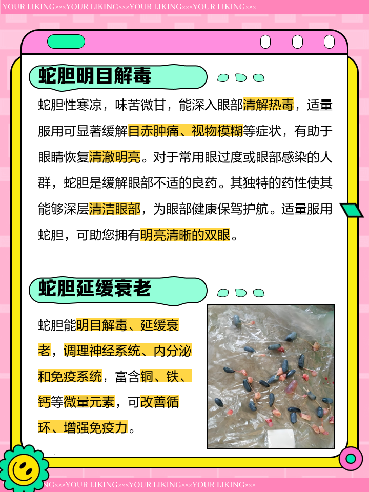 蛇蛋的营养价值和功效