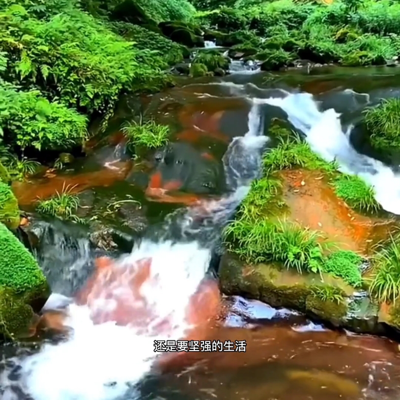 人生难得起起落落是哪首歌曲里的