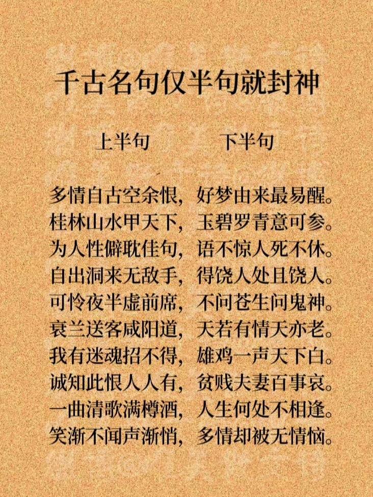 不知其几千里也的其什么意思