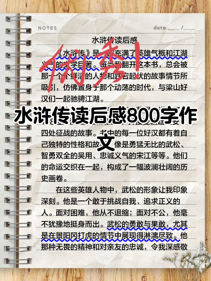 《水浒传》读后感600字初中