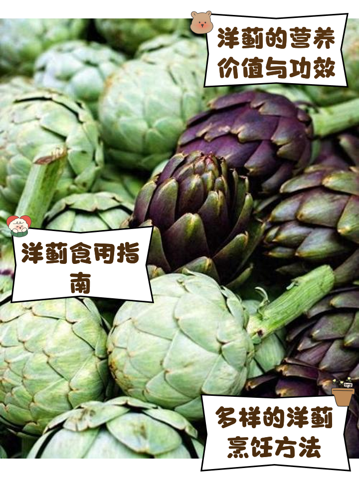洋蓟的营养价值与食用保健功效