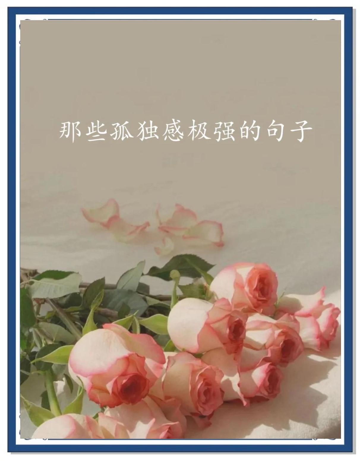 一个人很孤独的句子大全