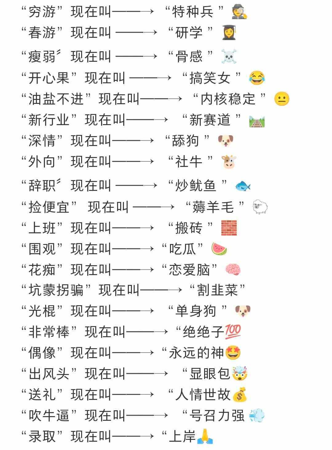 近年流行的新词语有哪些