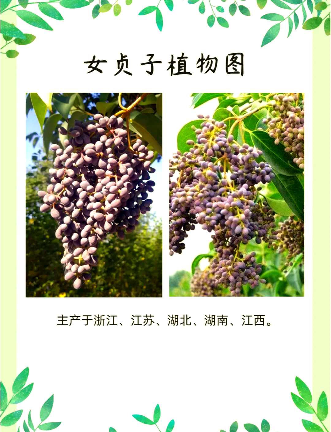 2025年12月9日 第29页