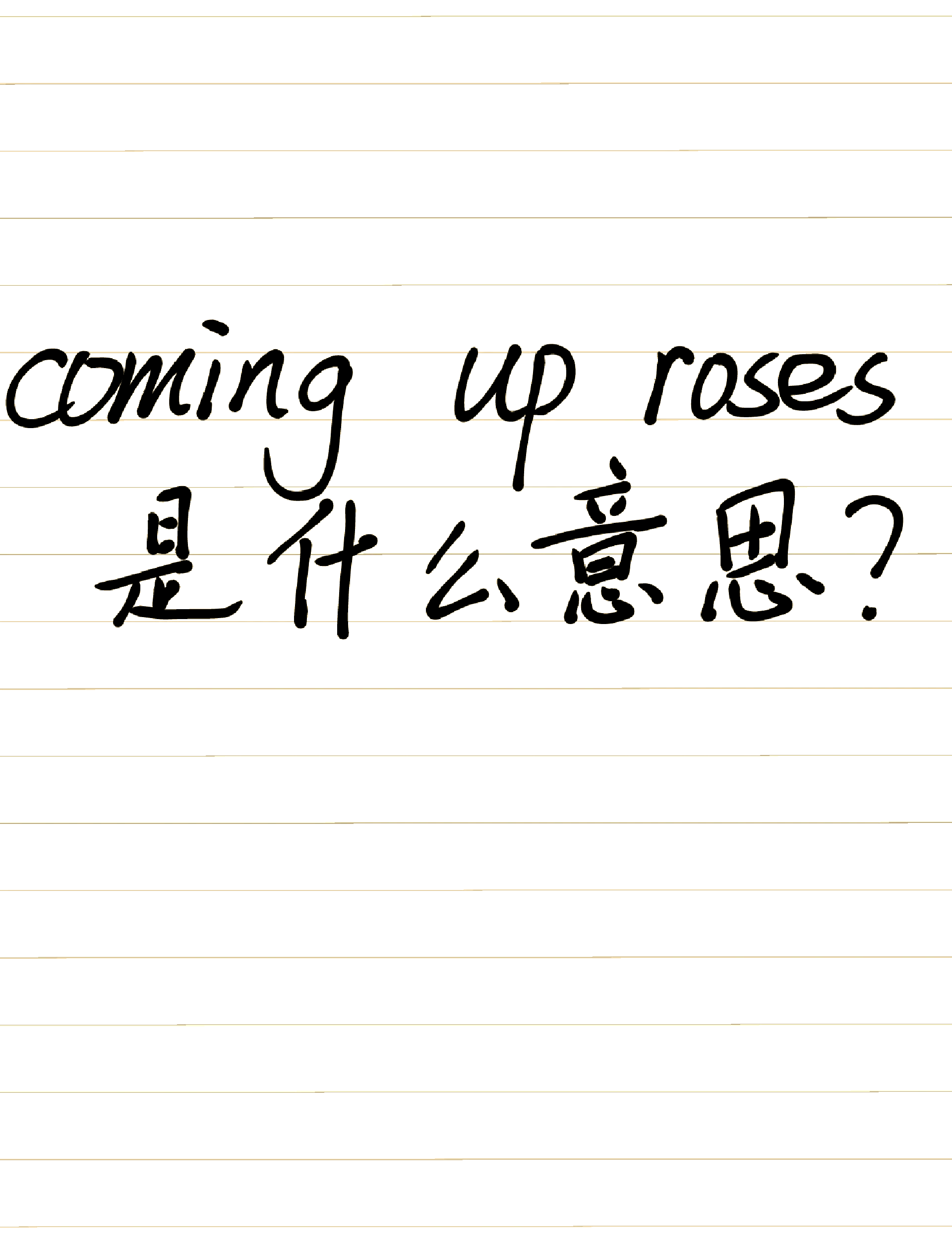 every的意思是什么