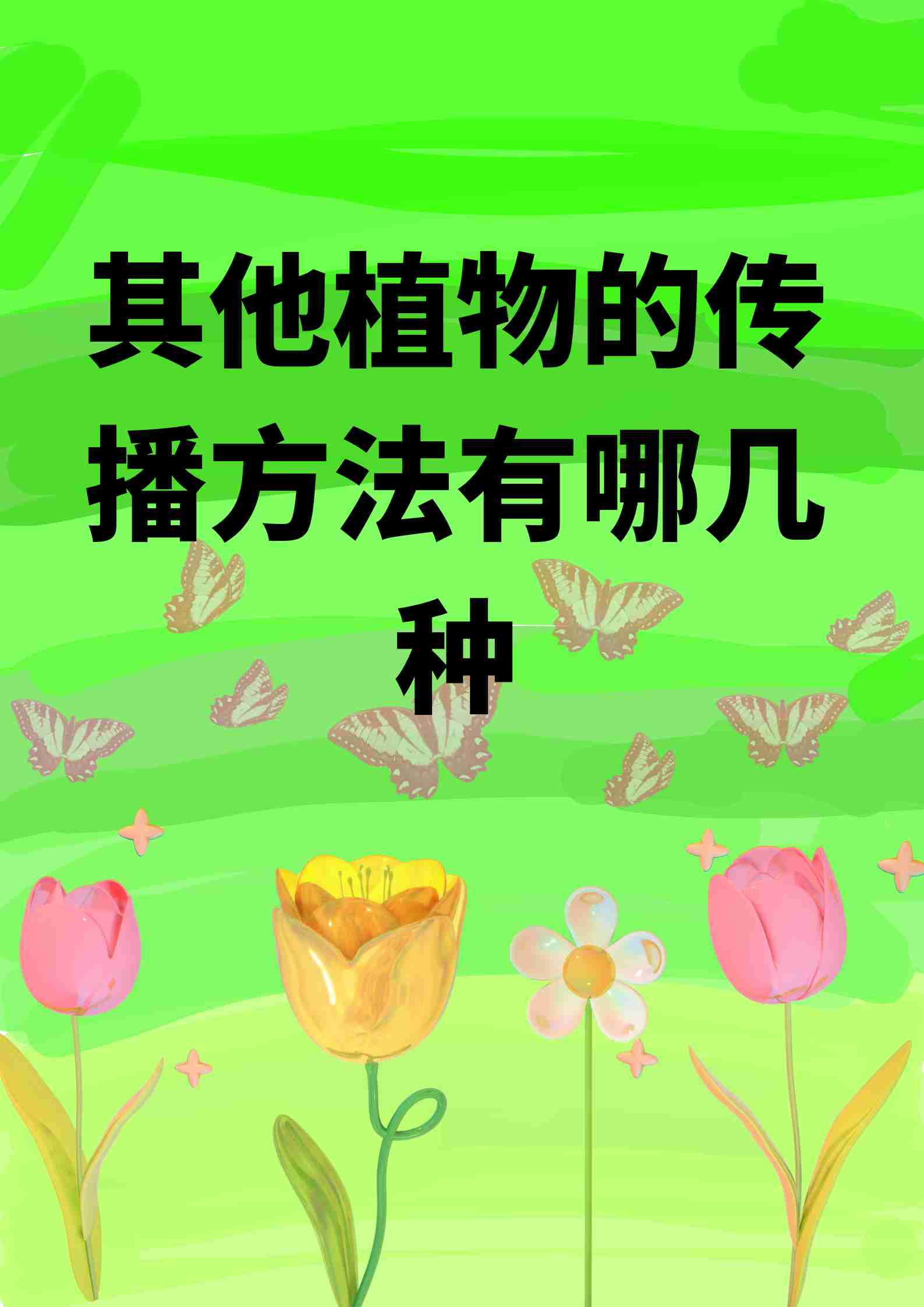 2025年12月9日 第16页