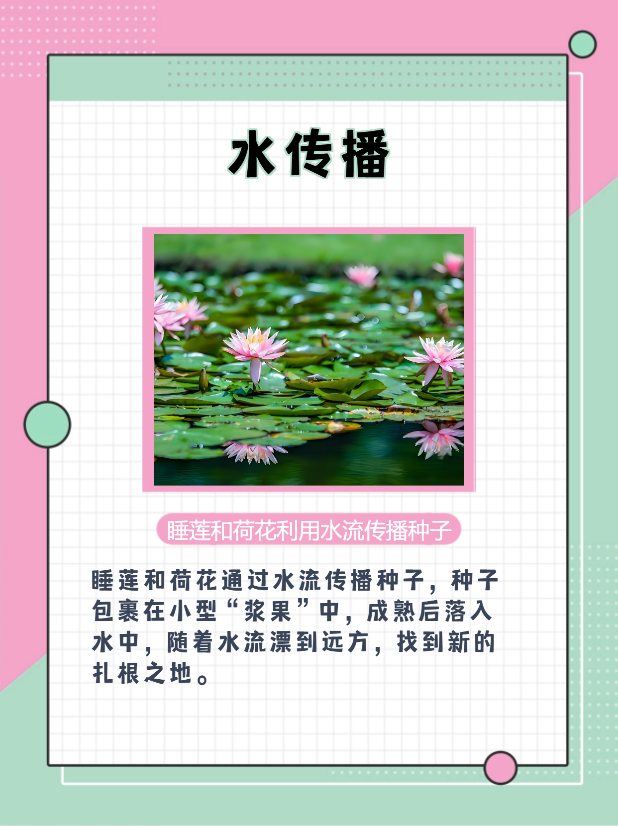 植物的传播方式有哪几个