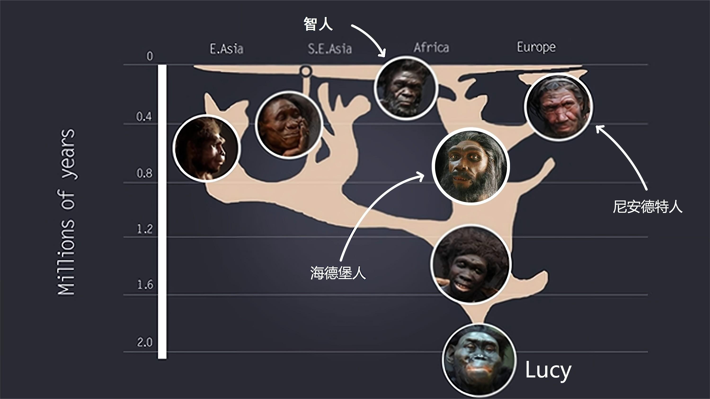 我们的祖先是谁?他们在哪?什么时候诞生的?