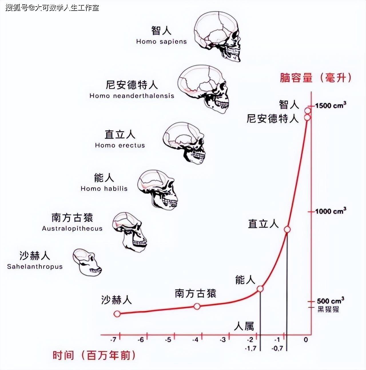 我们的祖先是谁?他们在哪?什么时候诞生的?