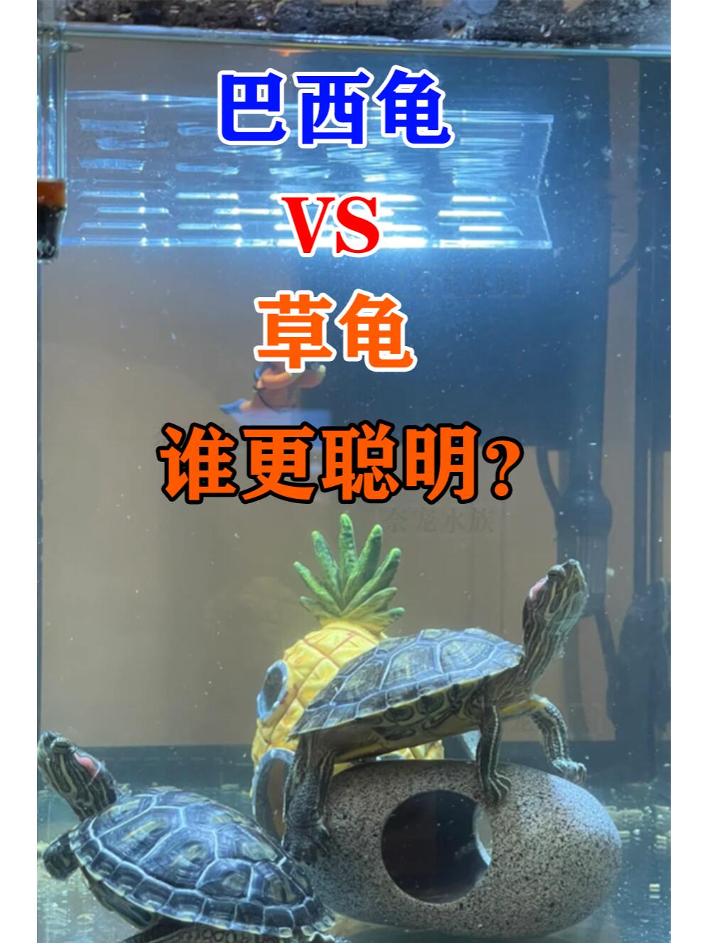 2025年12月9日 第14页