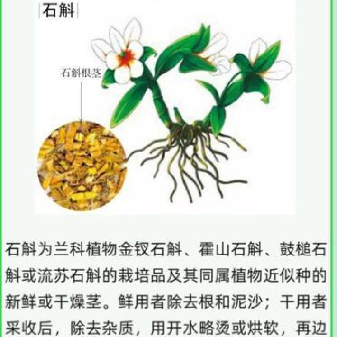 铁皮石斛的十大功效与作用