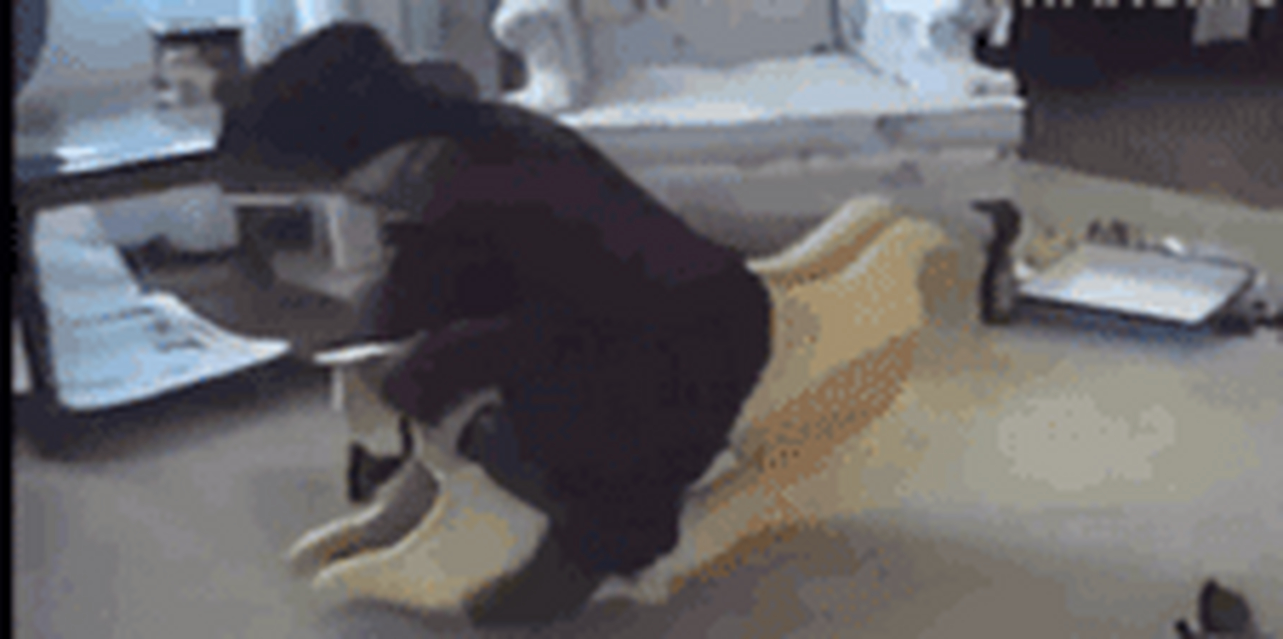 歌曲摇啊摇摇到外婆桥歌词