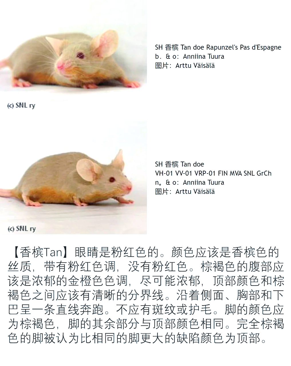 indetail和indetails的区别