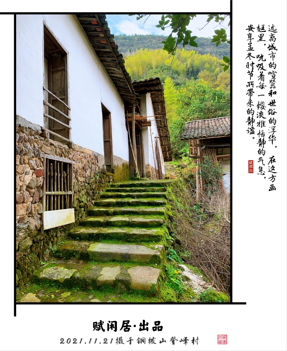 浮华的意思浮华是什么意思