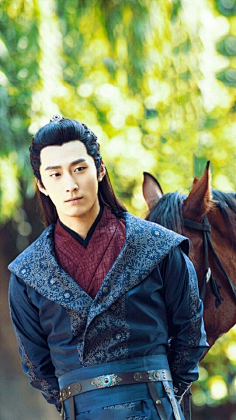 电视剧楚乔传中赵西风的扮演者是谁