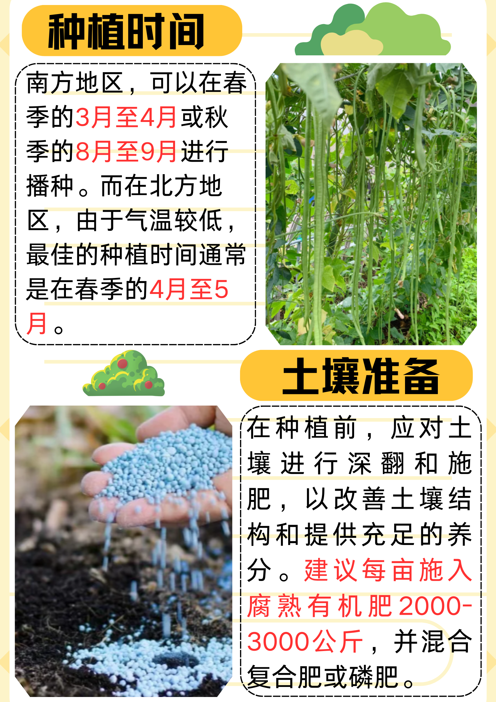 豆角的功效与作用及禁忌