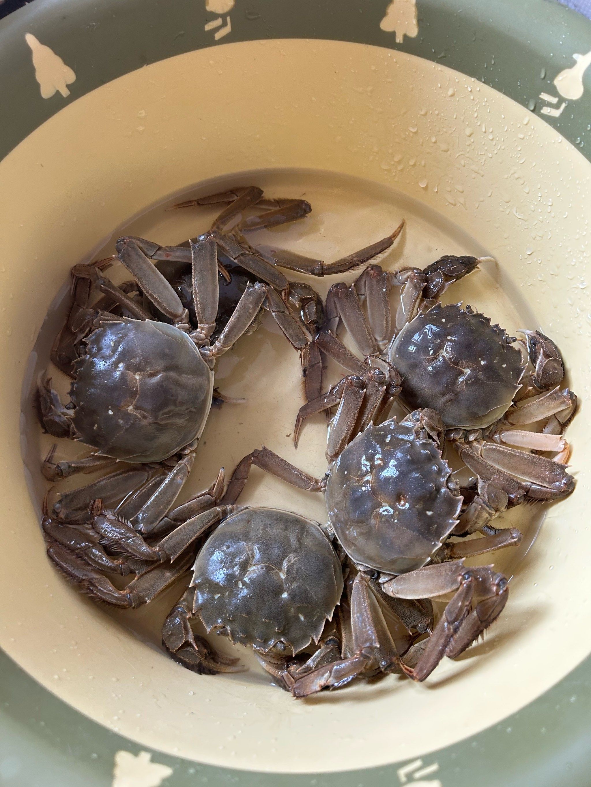 大闸蟹一般多少钱一斤