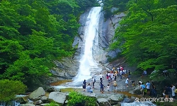 2025年12月10日 第29页