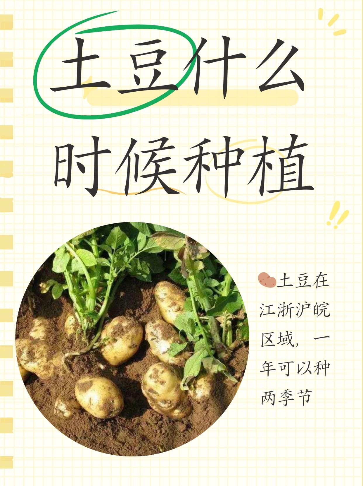 土豆的种植过程4个步骤