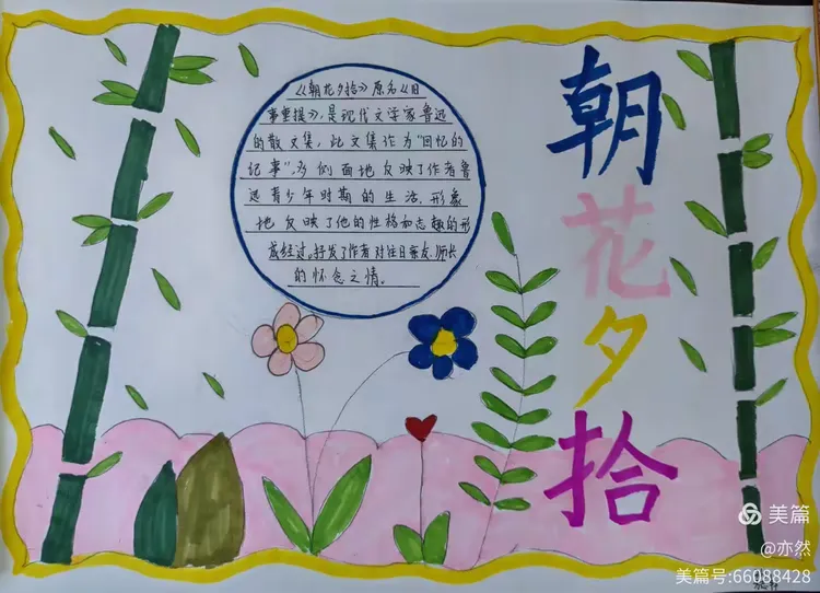 朝花夕拾手抄报简洁内容是什么