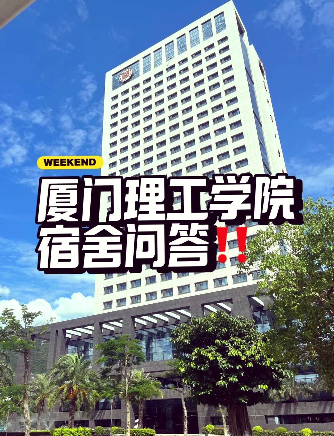 2025年12月10日 第12页