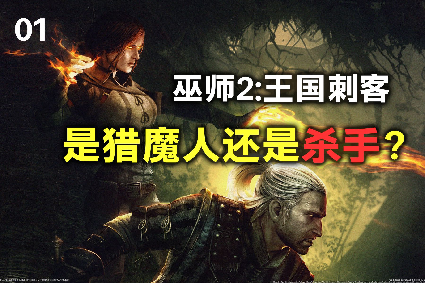 巫师2攻略怎么过巫师2