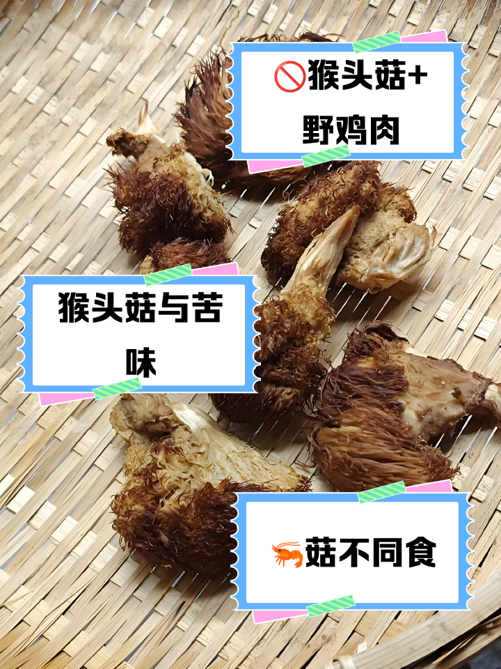 猴头菇不能和什么一起吃