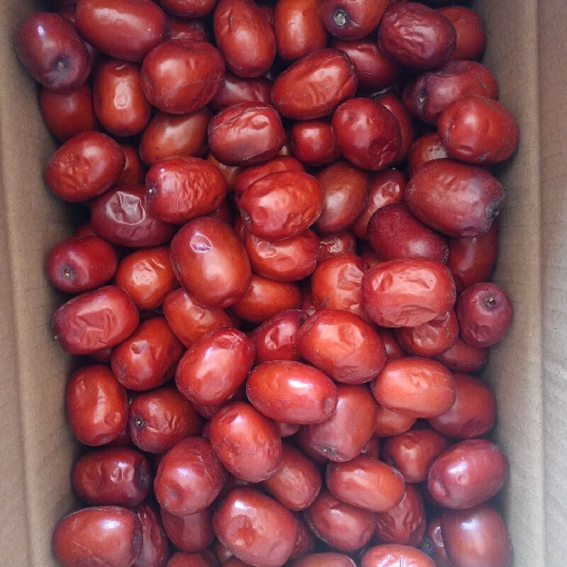 新鲜枣子能保存多长时间呢