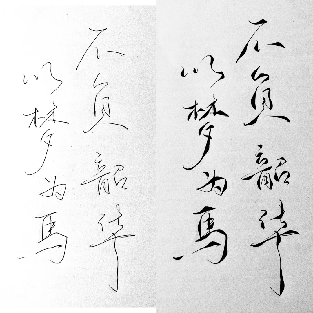 以梦为马不负韶华的下一句