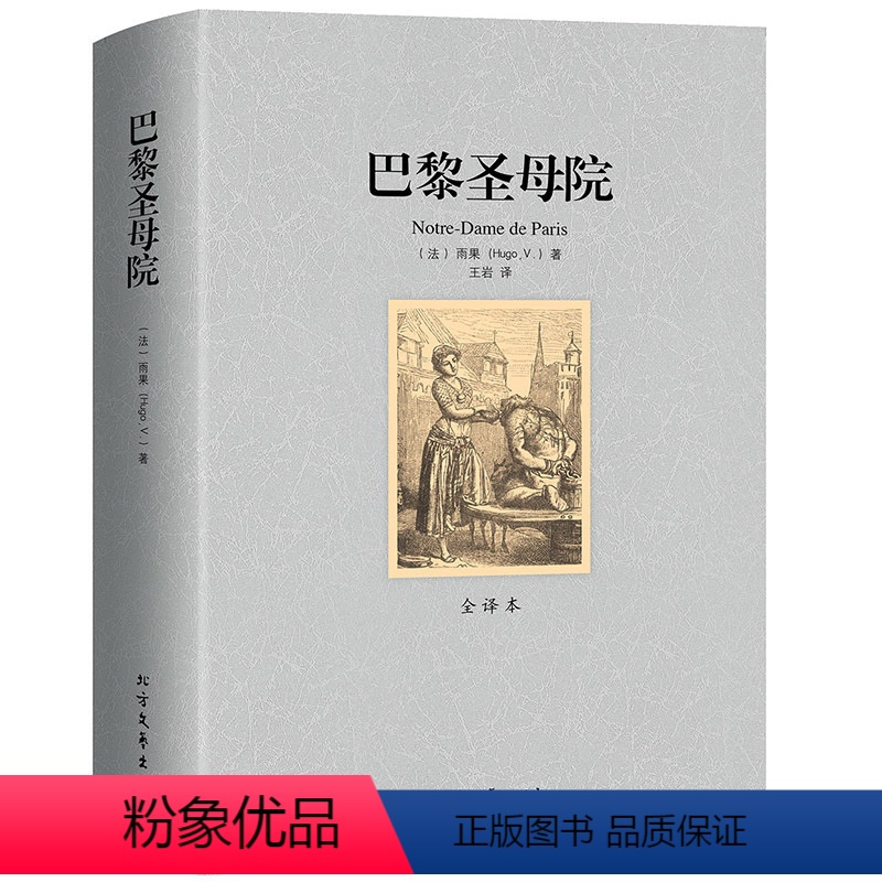 欧洲见闻录打什么名著小说?