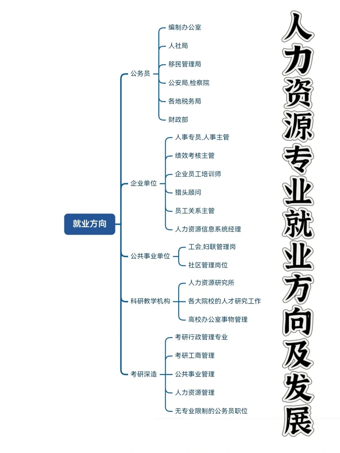 人力资源到底是干什么的