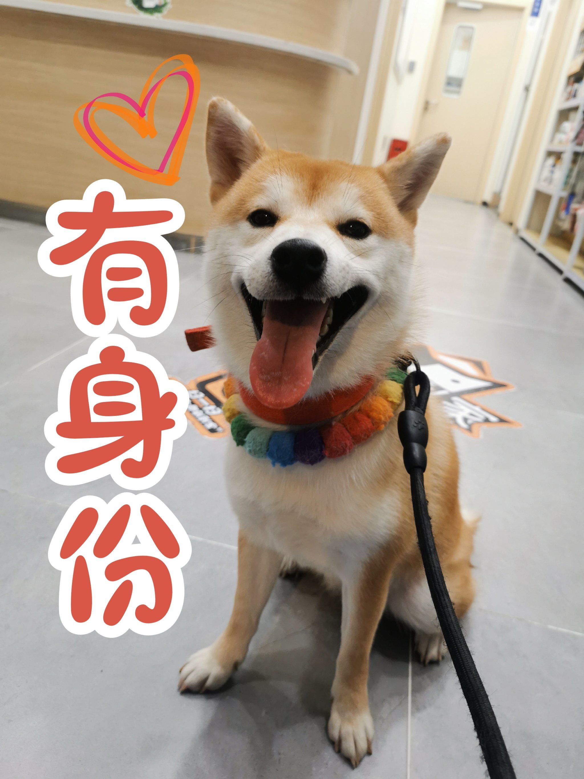 biu是什么意思网络用语