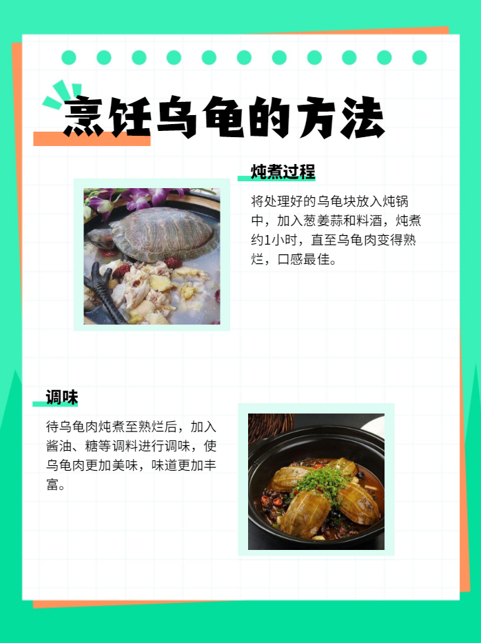 龟肉怎么煮好吃又简单窍门