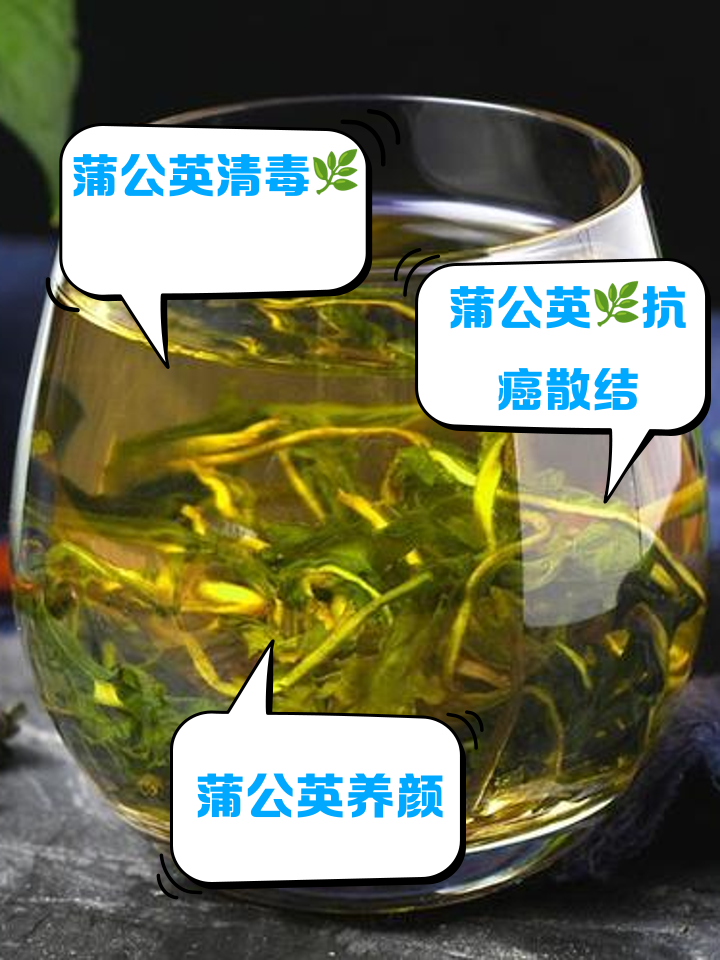 蒲公英泡水一次放几根