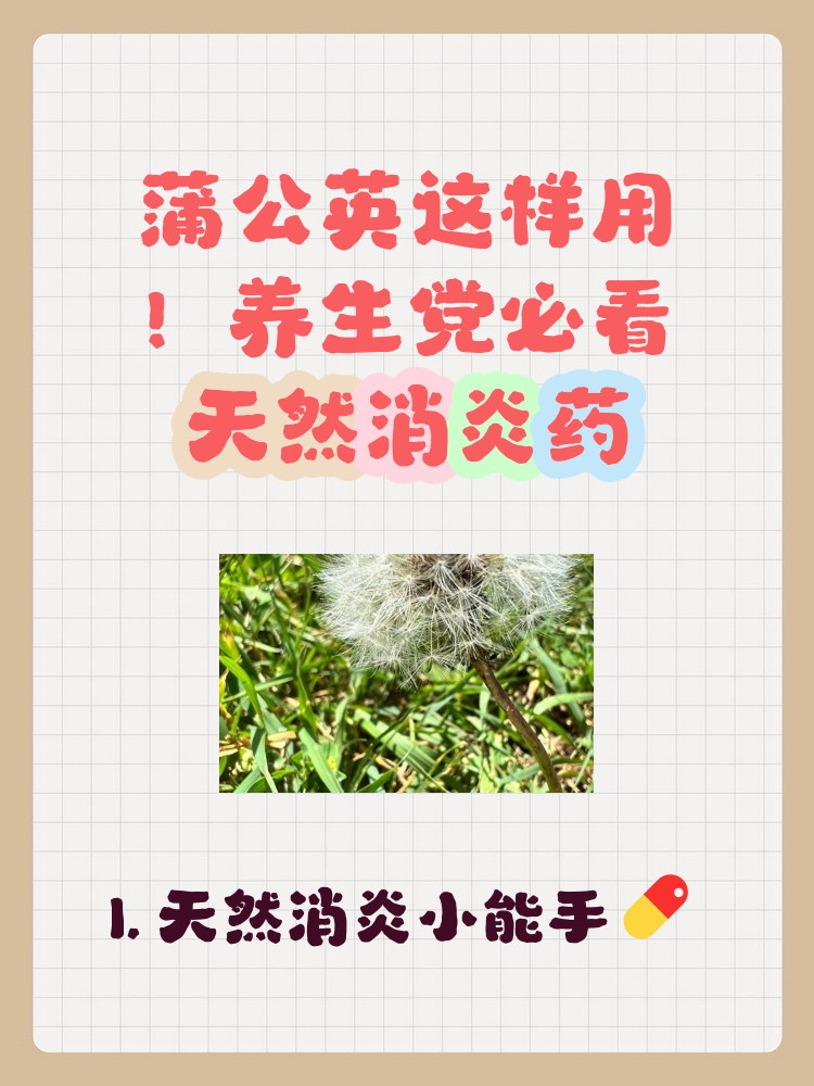 蒲公英泡水一次放几根