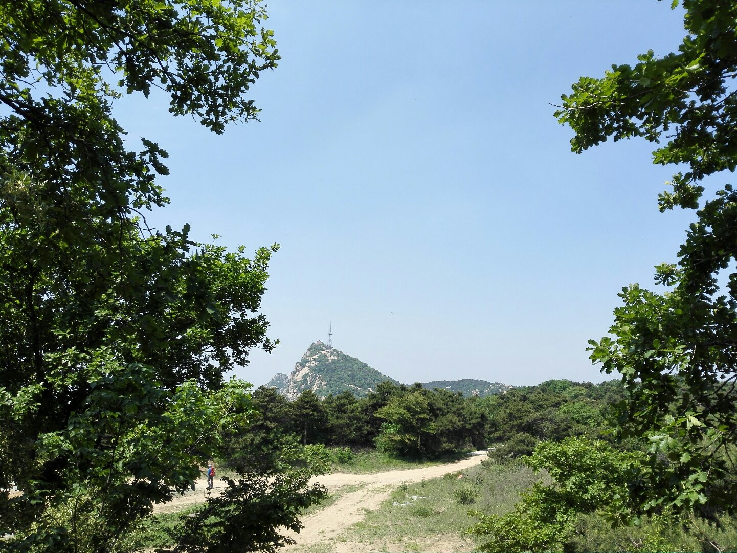 淄博市博山区邮政编码