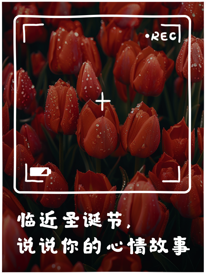 圣诞说说,圣诞节的心情说说句子