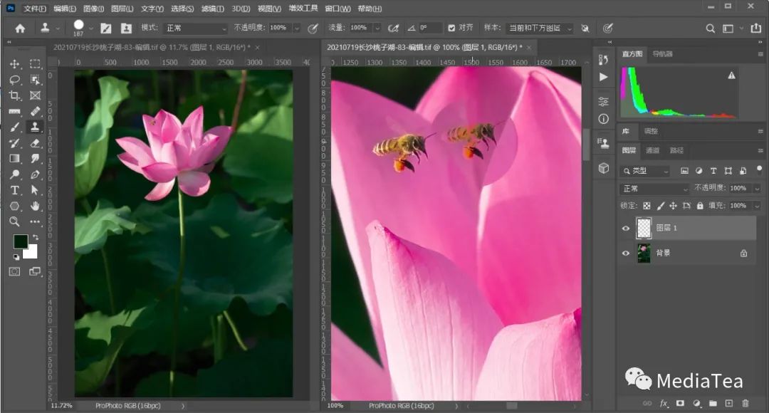 ps仿制图章工具在哪里