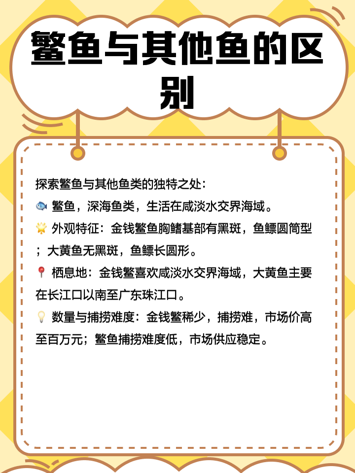 2025年12月11日 第13页