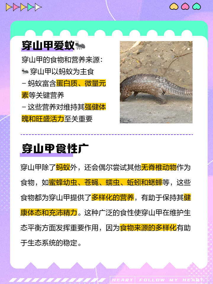 为什么把鲮鲤叫做穿山甲