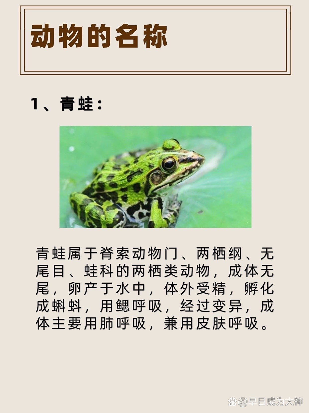 是什么原因青蛙只吃活的昆虫