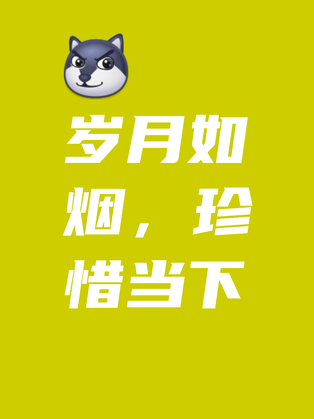 流年不负岁月可期的意思