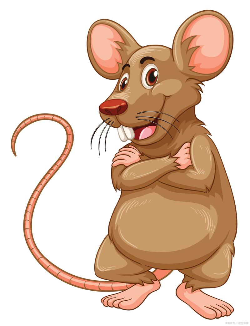 mouse什么意思中文