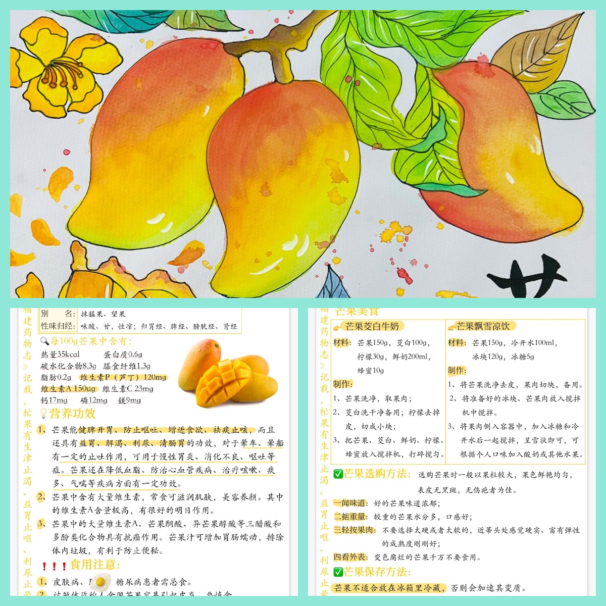 芒果能和可乐一起食用吗吃芒果能喝可乐吗