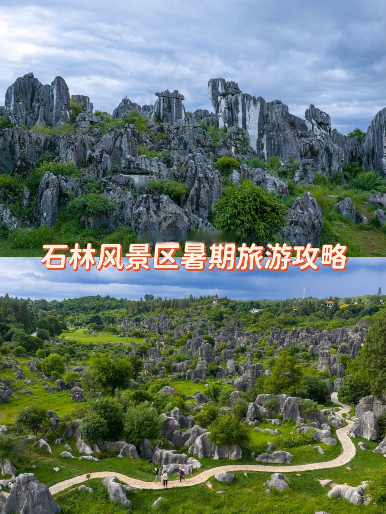 石林在哪里石林的简介