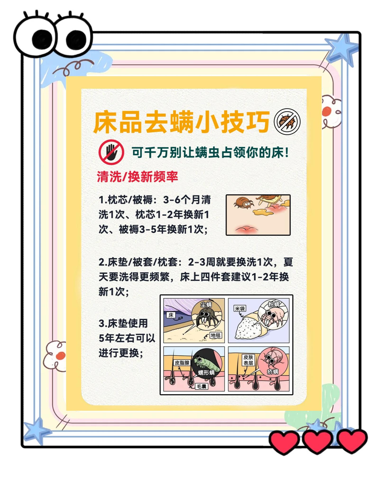 户尘螨是什么东西怎么去除