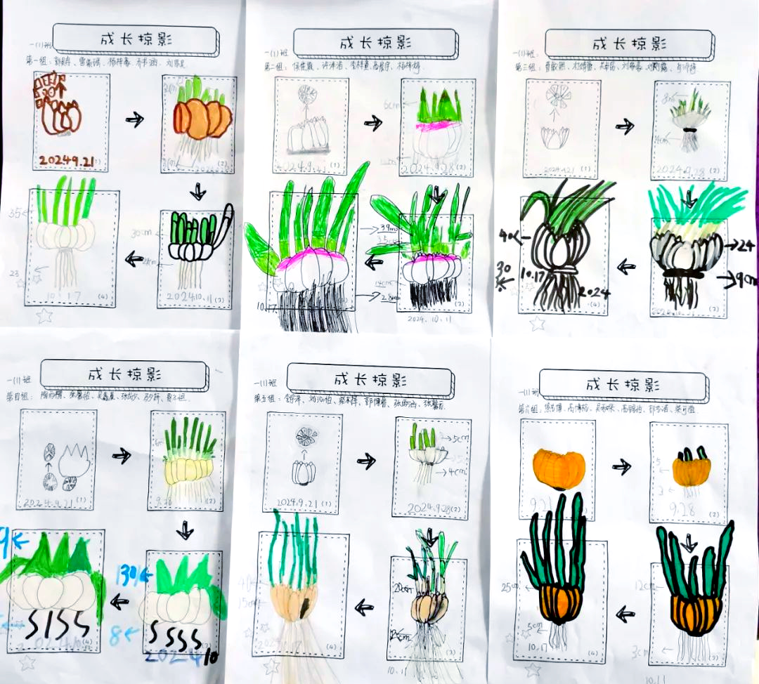 大蒜的种植时间及方法