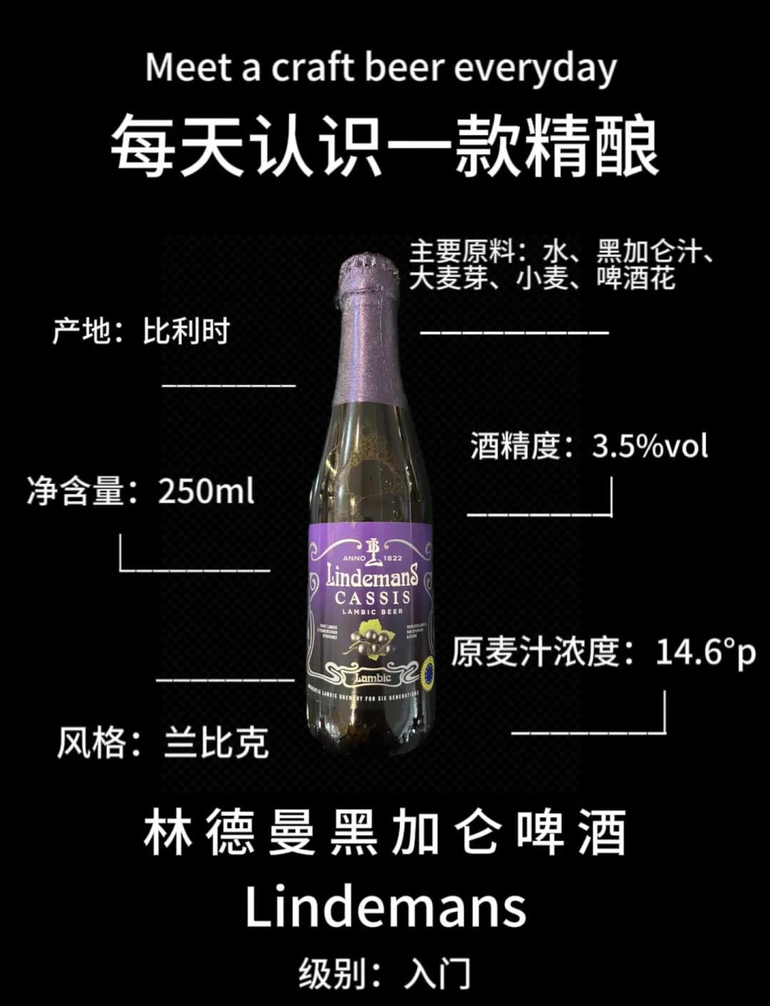 黑加仑的功效与作用黑加仑的营养价值