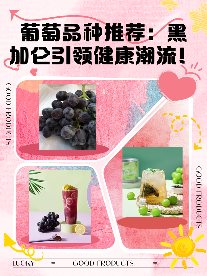 黑加仑的功效与作用黑加仑的营养价值