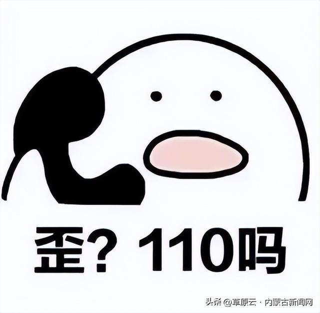 打110可以咨询事情吗